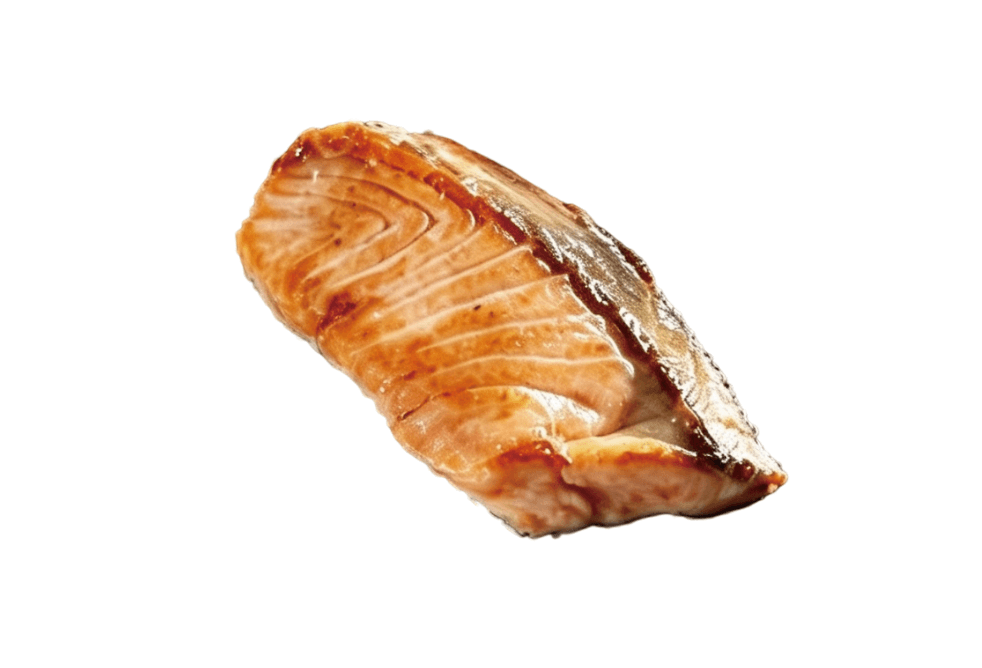 Tepan Salmon